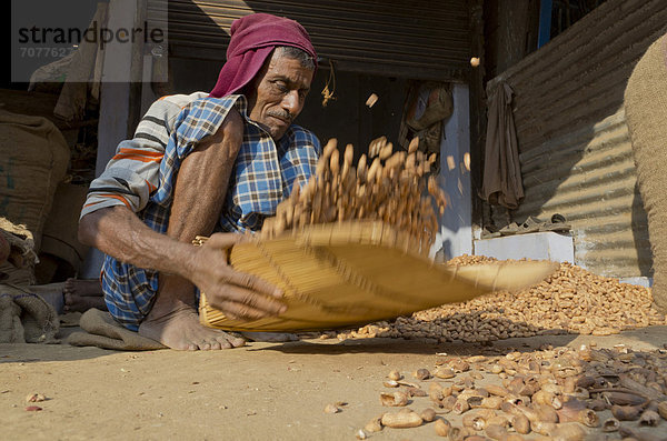 Ein Erdnuss-Röster bei der Arbeit auf dem Markt in Allahabad  Indien  Asien