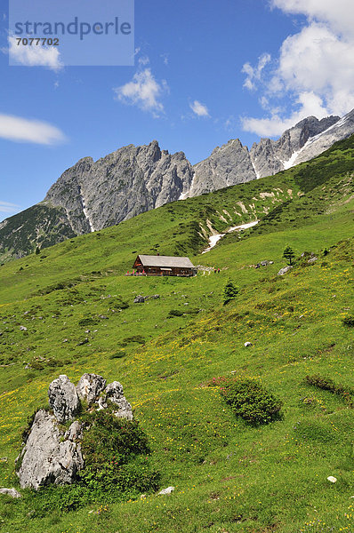 Auf der Alm  Hochkönig  M¸hlbach  Salzburg  Österreich  Europa