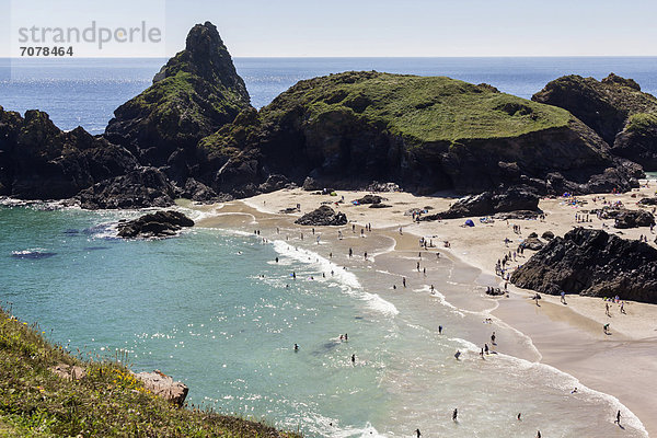 Strand  Kynance Cove  Lizard  Cornwall  England  Großbritannien  Europa