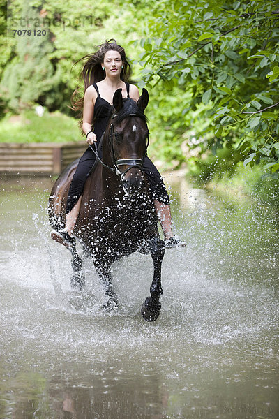 Junge Frau mit Kleid sitzt ohne Sattel auf Pferd und reitet im Trab durch Wasser  Hannoveraner  Brauner  Nordtirol  Österreich  Europa