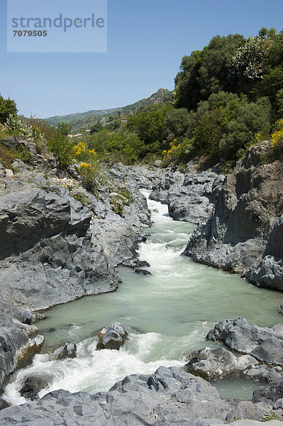 Gole dell'Alcantara  Gole di Larderia  Alcantara-Schlucht  Fluss  Sizilien  Italien  Europa