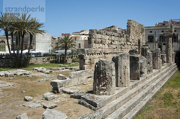 Apollon-Tempel  Siracusa  Syrakus  Insel Ortygia  Ortigia  Sizilien  Italien  Europa