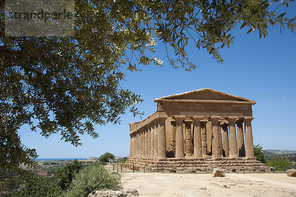 Concordia Tempel  Tal der Tempel  Agrigent  Agrigento  Sizilien  Italien  Europa