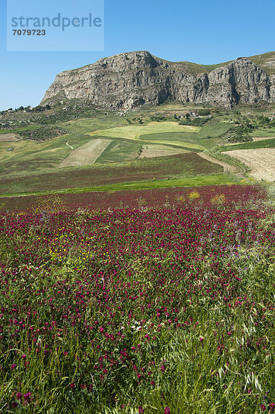 Landschaft nahe Caccamo  SS 285  Prizzi  Provinz Palermo  Sizilien  Italien  Europa