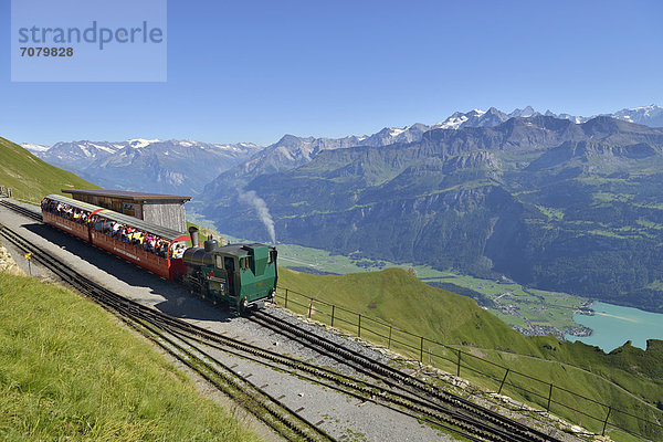 Kohlenbefeuerte historische Dampflokomotive auf dem Brienzer Rothorn  Brienz  Schweiz  Europa