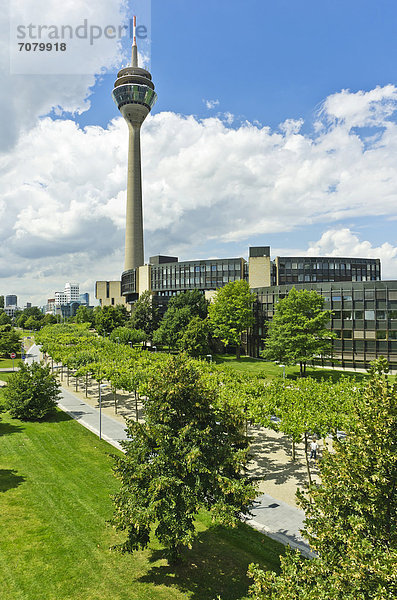 Blick auf den Landtag  Rheinturm  hinten der WDR und die Gehry-Bauten im Medienhafen  Landeshauptstadt D¸sseldorf  Nordrhein-Westfalen  Deutschland  Europa