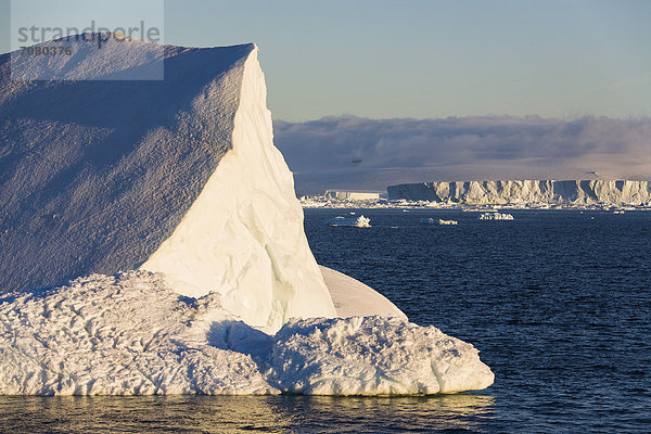 Eisberge  Antarctic Sound  Weddellmeer  Antarktis