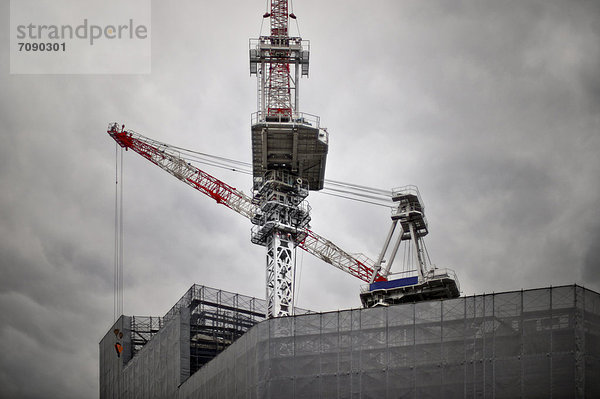 Kranich  bauen  Großstadt  Tokyo  Hauptstadt  groß  großes  großer  große  großen  Turmkran  Ortsteil  Omotesando