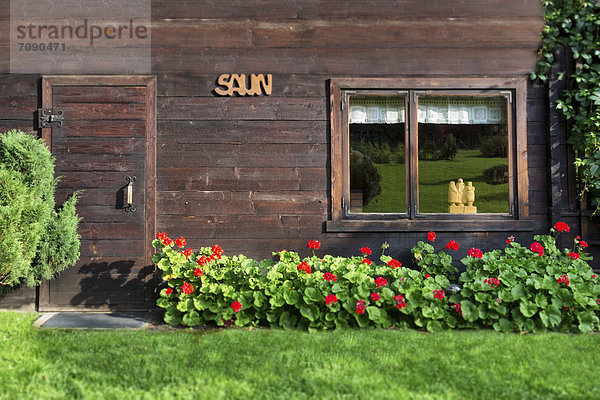 Laubwald  Fenster  Blume  Tür  klein  Zeichen  Pflanze  Kabine  Sauna  Signal