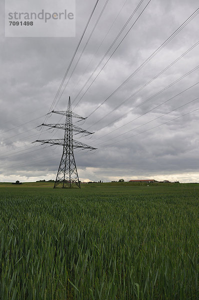 Deutschland  Bayern  Blick auf Strommast mit Maisfeld