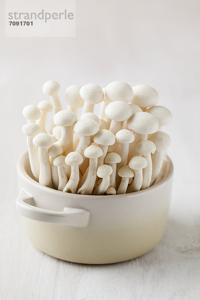Bowl of shimeji mushrooms  close up