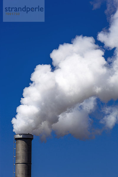 Germany  Chimney with white smoke against blue sky