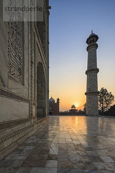 India  Uttar Pradesh  Agra  View of Taj Mahal