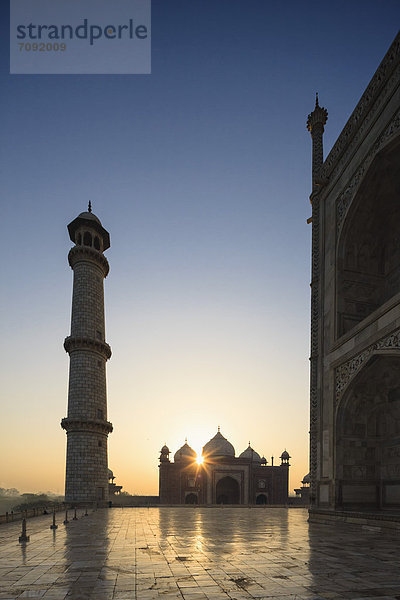 India  Uttar Pradesh  Agra  View of Taj Mahal at sunrise