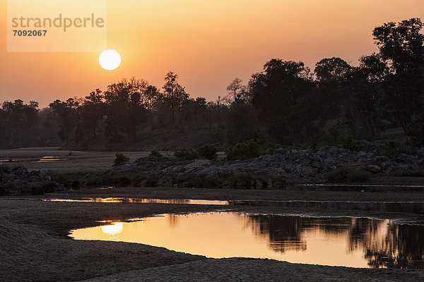 Indien  Madhya Pradesh  Sonnenuntergang über dem Fluss Banjar im Kanha Nationalpark