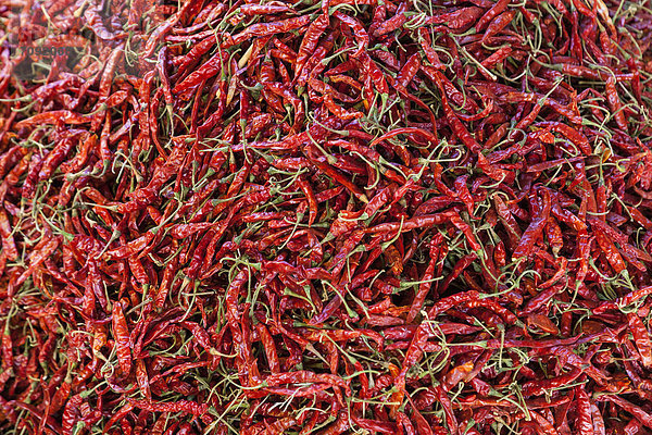 Indien  Madhya Pradesh  Rote Chilis auf dem Markt