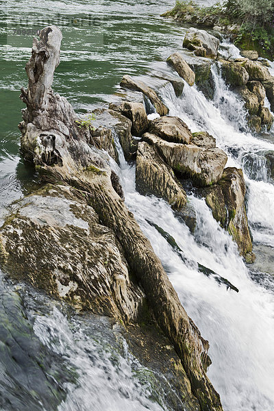 Switzerland  Schaffhausen  View of Rhein Falls