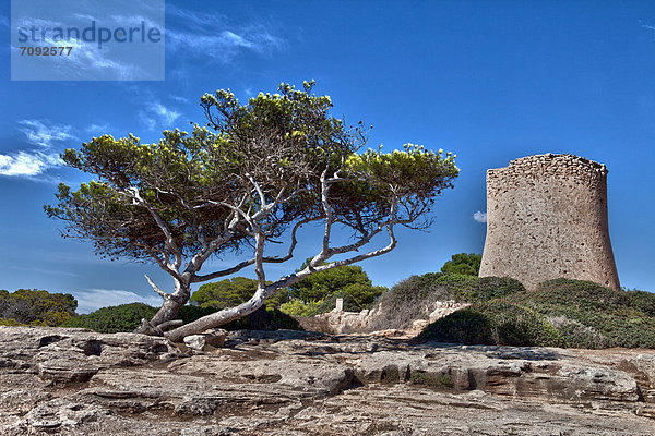 Spanien  Mallorca  Blick auf den alten Turm von Cala Pi