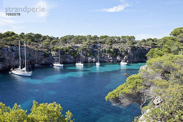 Spanien  Mallorca  Blick auf die Bucht mit Segelboot bei Cala Pi