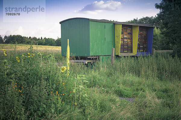 Germany  Saxony  View of beekeeping