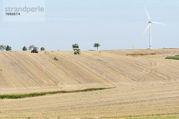 Deutschland  Sachsen  Blick auf das Windrad im Maisfeld