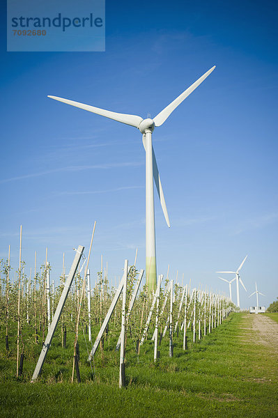 Germany  Saxony  View of wind turbine in apple farm