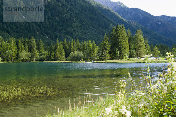 Deutschland  Bayern  Blick auf den Teich mit Alpen