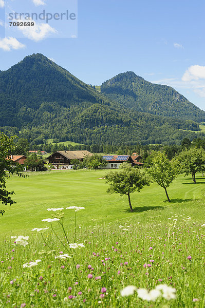 Deutschland  Bayern  Blick auf das Dorf mit den Alpen