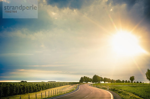 Deutschland  Sachsen  Straße durch Ackerland