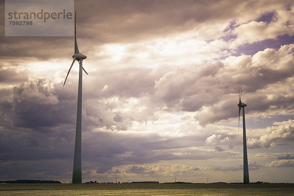 Deutschland  Sachsen  Windkraftanlage im Windpark