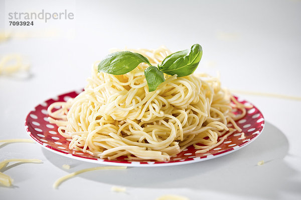 Germany  Plate of spaghetti with basil  close-up