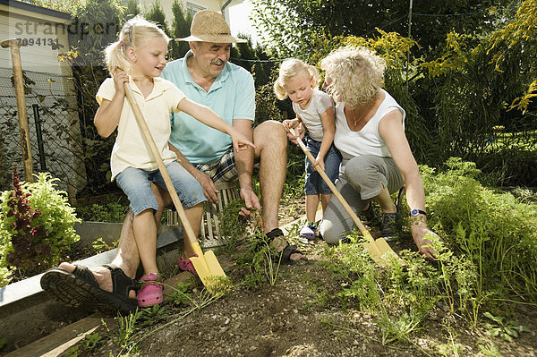 Deutschland  Bayern  Großeltern mit Kindern bei der Arbeit im Gemüsegarten