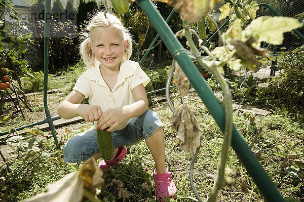 Mädchen sammelt Gurken im Vegetebale Garten