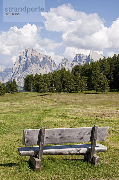Italien  Südtirol  Bank auf Alpweide Richtung Langkofel und Plattkofelgebirge