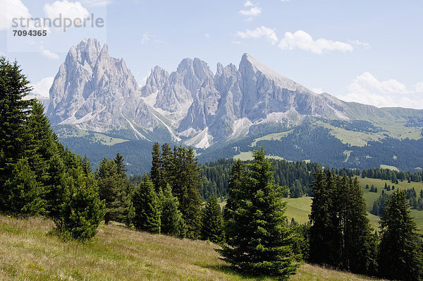 Italien  Blick vom Mont Seuc auf Langkofel und Plattkofel bei Südtirol