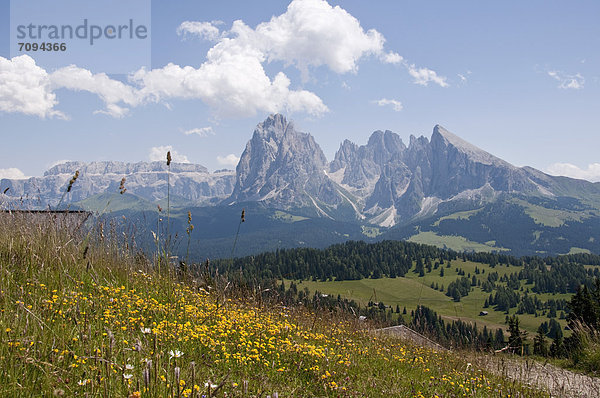 Italien  Alpweide Richtung Langkofel und Plattkofel bei Südtirol