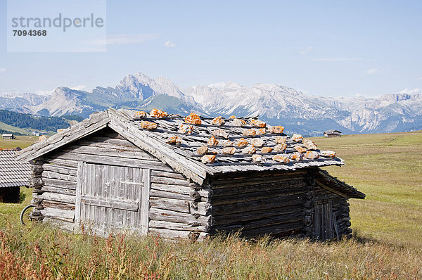 Italy  View of Alpine hut on Seiser Alm at South Tyrol