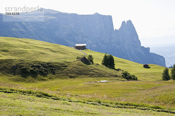 Italien  Blick auf Seiser Alm  Schlern und Santner Spitze im Hintergrund bei Südtirol