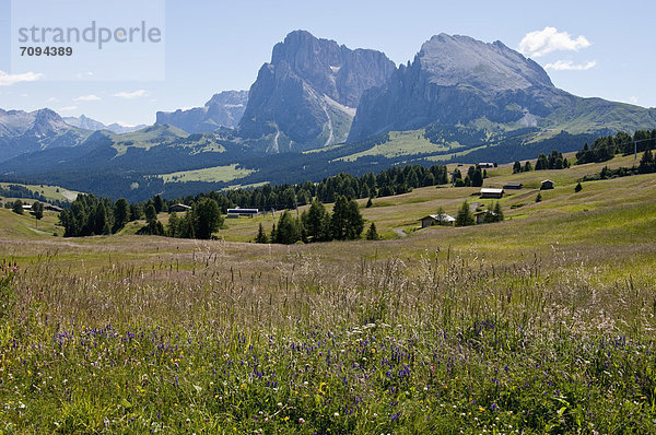 Italien  Blick auf die Alpweide am Langkofel und Plattkofel bei Südtirol