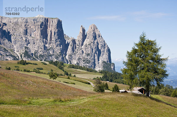 Italy  Alpine meadow towards Schlern and Santner Spitze at South Tyrol