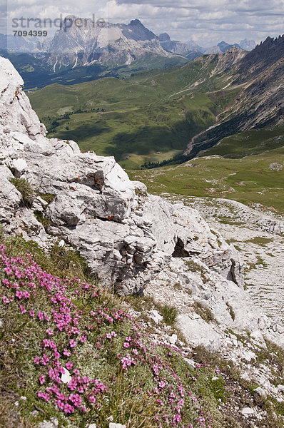Italien  Blick vom Gipfel Petz auf Langkofel  Plattkofel und Seiser Alm bei Südtirol