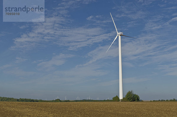 Windturbinen im landwirtschaftlichen Raum  Deutschenbora  Sachsen  Deutschland  Europa