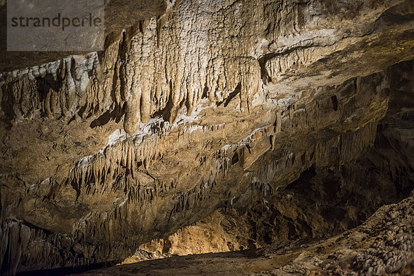 Marble Arch Caves  Florence Court Demesme  County Fermanagh  Nordirland  Vereinigtes Königreich  Europa