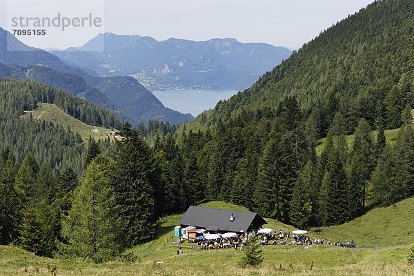 Pfeifertag auf Niedergadenalm  hinten Wolfgangsee  Strobl  Land Salzburg  Salzburger Land  Salzkammergut  Österreich  Europa