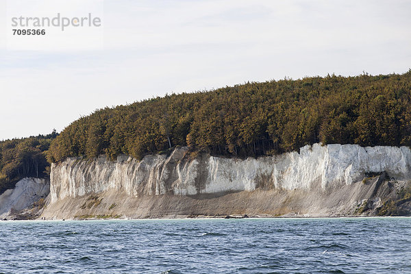 Kreidefelsen der Insel Rügen  Mecklenburg-Vorpommern  Deutschland  Europa