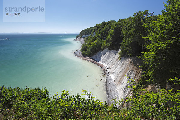 Kreidefelsen an der Ostseeküste  Buchenwald  UNESCO Weltnaturerbe  Nationalpark Jasmund  Insel Rügen  Mecklenburg-Vorpommern  Deutschland  Europa