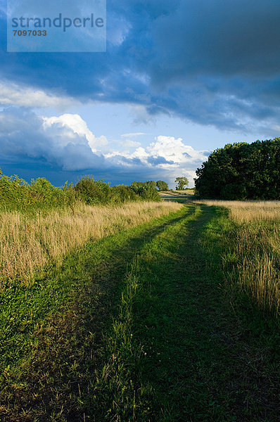 Schmutzweg im hohen Grasfeld