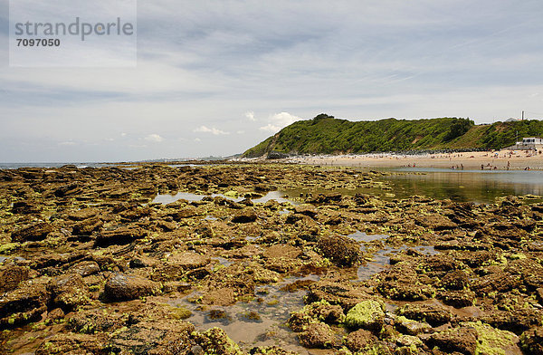 Französische Atlantikküste bei Ebbe  bei Saint-Jean-de-Luz  französische Atlantikküste  Region Aquitanien  DÈpartement PyrÈnÈes-Atlantiques  Frankreich  Europa