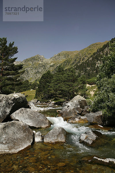 Wildbach  Landschaft in den Pyrenäen  französische Pyrenäen  Nationalpark bei ArgelËs-Gazost  Region Midi-PyrÈnÈes  DÈpartement Hautes-PyrÈnÈes  Frankreich  Europa