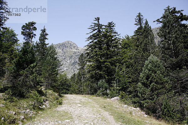 Wanderweg  Landschaft in den Pyrenäen  französische Pyrenäen  Nationalpark bei ArgelËs-Gazost  Region Midi-PyrÈnÈes  DÈpartement Hautes-PyrÈnÈes  Frankreich  Europa